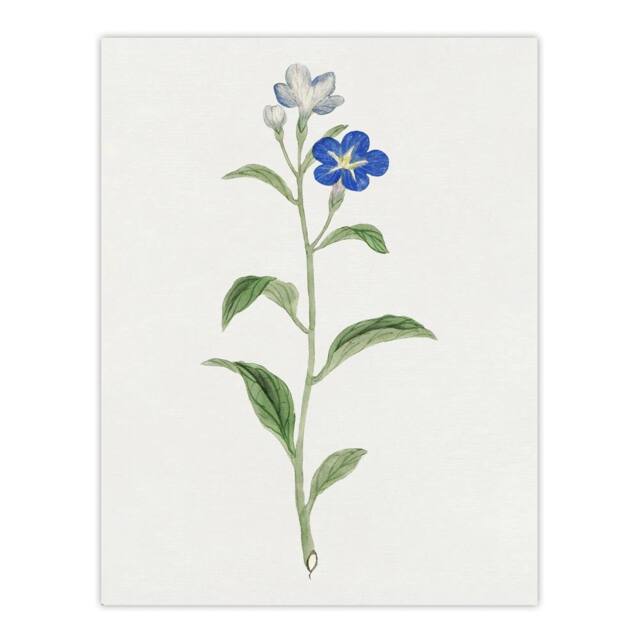 "Artery8 Blue Flower Wall Art Print Vintage Japanese Botanical in White - Size: W18"" x H24""" - image 1