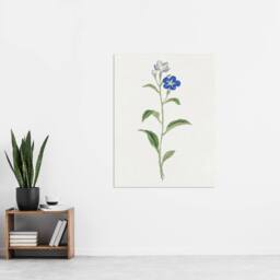 "Artery8 Blue Flower Wall Art Print Vintage Japanese Botanical in White - Size: W18"" x H24""" - thumbnail 4