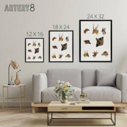 "Artery8 Wildlife Animals Vintage Illustration Lydekker Framed Canvas Wall Art in White - Size: W24"" x H32""" - thumbnail 4