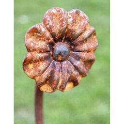 Poppyforge Pack of 3 Flower Pin Support 4Ft - Steel - L7 x H120 cm - BM/RtR in Brown