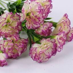 Havendro Purple Artificial Flowers Silk Fake Plants UV Resistant Decor - thumbnail 3