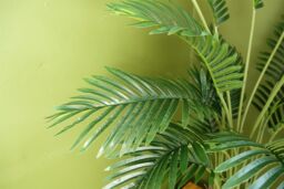 Leaf 110cm Large Artificial Areca Palm Tree Potted in Black Pot in Green - thumbnail 3