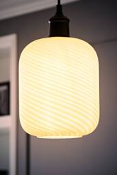 ValueLights Emery Frosted Oval Swirl Glass Easy Fit Ceiling Lamp Shade with Bulb in White