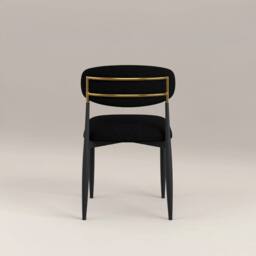 Modish Furnishing Azure Black Chenille With Gold Dining Chair Set Of 2 - thumbnail 3