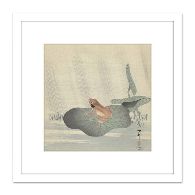 Artery8 Ohara Koson Frog Lotus Leaf Pond Japan Painting 8X8 Inch Square Wooden Framed Wall Art Print Picture with Mount in White - image 1
