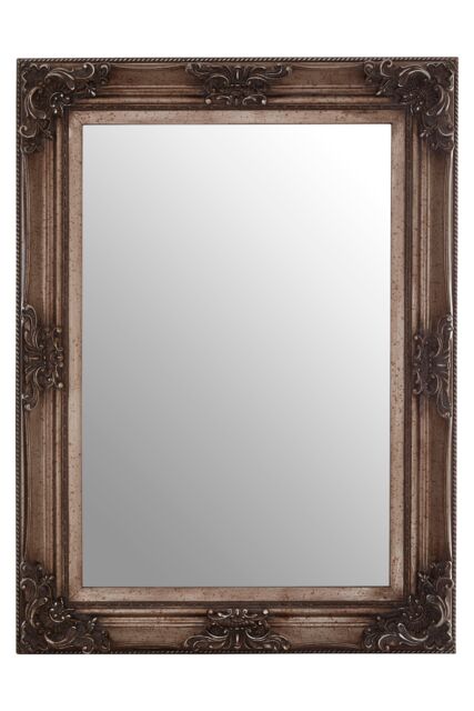 Orsina Carved Frame Antique Bronze Wall Mirror, Full Size Traditional Mirror, Weathered Bronze Decorative Mirror in Silver - image 1