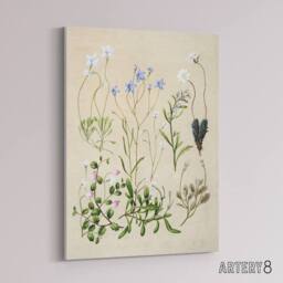 "Artery8 New Zealand Perennial Wild Flowers Featon Canvas Wall Art Print in Beige - Size: W18"" x H24""" - thumbnail 2