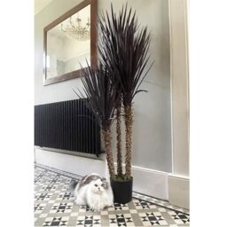 Leaf 155cm Artificial Yukka Tree Plant Spiky UV Tree Triple Dark Red Brown in Dark Brown