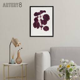 "Artery8 AF Lydon B Fawcett Pink Achyranthes Verschaffeltii Framed Canvas Art in White - Size: W12"" x H16""" - thumbnail 3