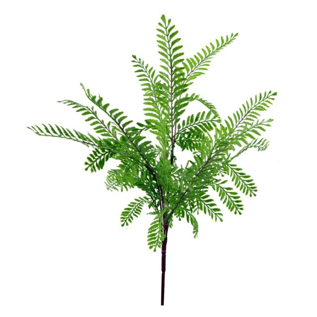 Leaf 55cm Himilayan Maidenhair Fern Bush Light Green Plant - image 1