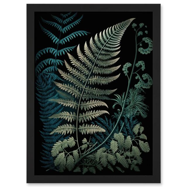 Artery8 Detailed Fern Frond Species Botanical Illustration Artwork Framed Wall Art Print A4 in Black - image 1