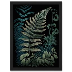 Artery8 Detailed Fern Frond Species Botanical Illustration Artwork Framed Wall Art Print A4 in Black - thumbnail 1