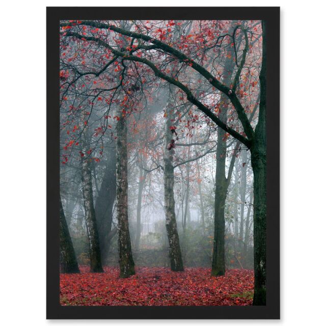 Artery8 Nature Forest Tree Autumn Fall Beautiful Red A4 Artwork Framed Wall Art Print in Black - image 1