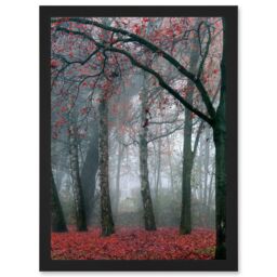 Artery8 Nature Forest Tree Autumn Fall Beautiful Red A4 Artwork Framed Wall Art Print in Black - thumbnail 1