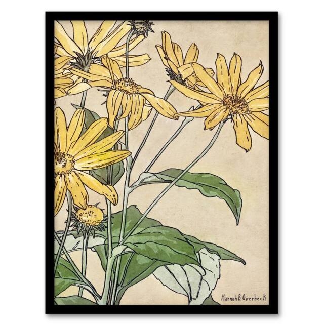 Artery8 Hannah Borger Overbeck Framed Wall Art Print Sunflowers Watercolour in Orange - Size: A4 - image 1
