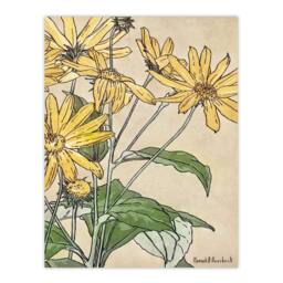 Artery8 Hannah Borger Overbeck Framed Wall Art Print Sunflowers Watercolour in Orange - Size: A4 - thumbnail 3