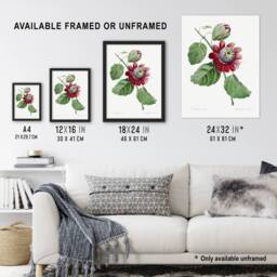 "Artery8 Passion Flower Illustration Redoute Vintage Wall Art Print Poster in White - Size: W12"" x H16""" - thumbnail 3