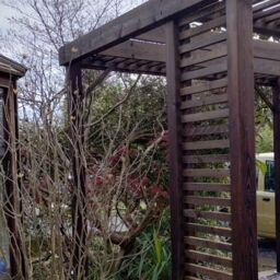 Rutland County Garden Furniture Ltd Panel Pergola - Wood - L240 x W480 cm - Light Green in Brown - thumbnail 5