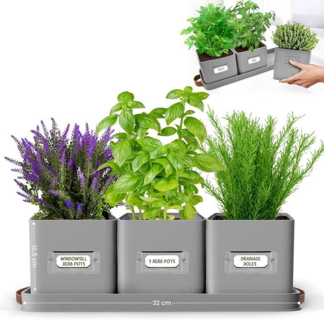 Green Thumbz Set of 3 Herb Planter Indoor with Leather Handled Tray in Grey