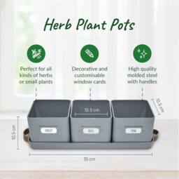 Green Thumbz Set of 3 Herb Planter Indoor with Leather Handled Tray in Grey - thumbnail 2