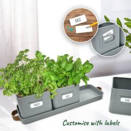 Green Thumbz Set of 3 Herb Planter Indoor with Leather Handled Tray in Grey - thumbnail 3