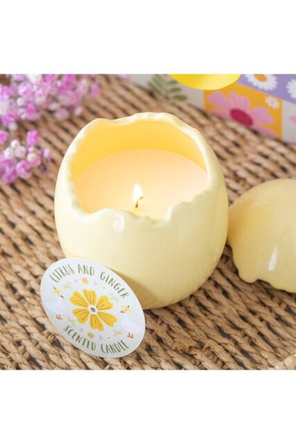 KDMD Citrus & Ginger Egg-Shaped Candle - Spring Scented Home Decor in Yellow - image 1