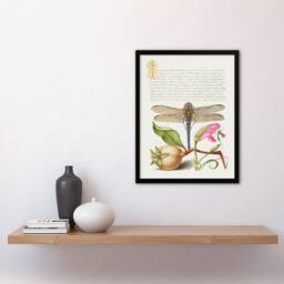 Artery8 Model Book of Calligraphy Framed Wall Art Dragonfly Pear & Carnation in White - Size: A4 - thumbnail 2