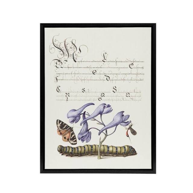 "Artery8 Butterfly Caterpillar & Flower Calligraphy Framed Canvas Wall Art in White - Size: W12"" x H16""" - image 1