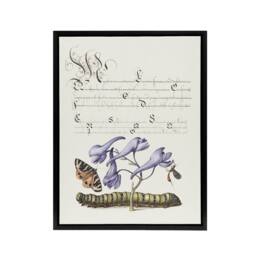 "Artery8 Butterfly Caterpillar & Flower Calligraphy Framed Canvas Wall Art in White - Size: W12"" x H16""" - thumbnail 1