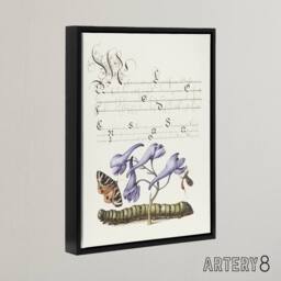 "Artery8 Butterfly Caterpillar & Flower Calligraphy Framed Canvas Wall Art in White - Size: W12"" x H16""" - thumbnail 2