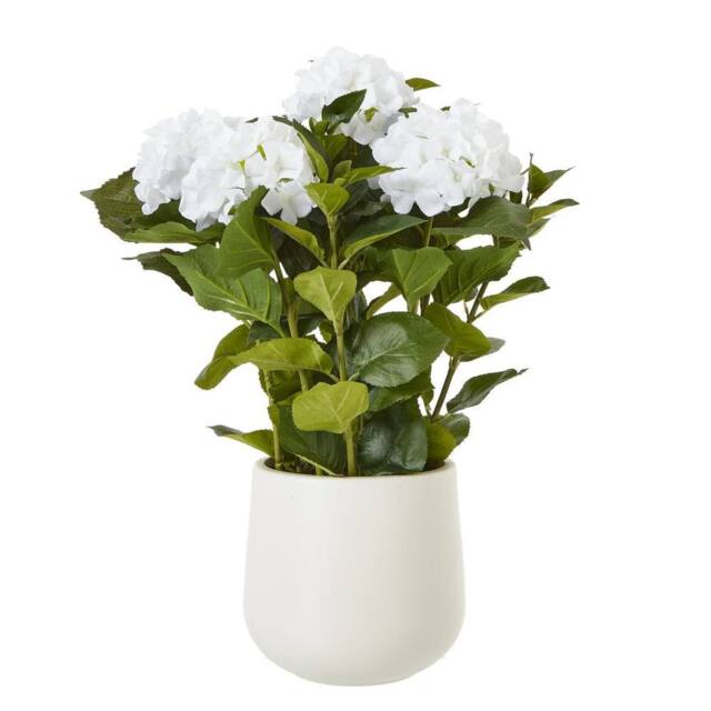Wyld Haus Artificial Medium White Hydrangea in White Ceramic Pot - image 1
