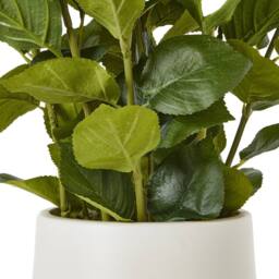Wyld Haus Artificial Medium White Hydrangea in White Ceramic Pot - thumbnail 5