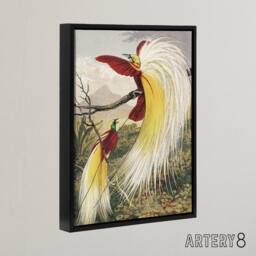 "Artery8 Bird Paradise Exotic B. Fawcett Vintage Black Framed Canvas Wall Art - Size: W18"" x H24""" - thumbnail 2