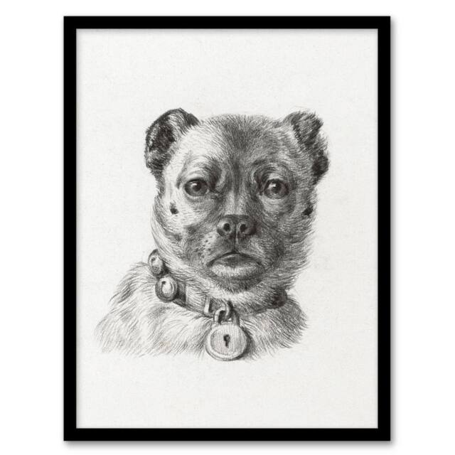 Artery8 Dog head with a Collar Pencil Drawing Bernard Framed Wall Art Print in White - Size: A4 - image 1