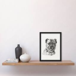 Artery8 Dog head with a Collar Pencil Drawing Bernard Framed Wall Art Print in White - Size: A4 - thumbnail 4