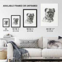 Artery8 Dog head with a Collar Pencil Drawing Bernard Framed Wall Art Print in White - Size: A4 - thumbnail 3