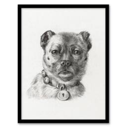 Artery8 Dog head with a Collar Pencil Drawing Bernard Framed Wall Art Print in White - Size: A4 - thumbnail 1