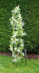 St Helens Standing Garden Obelisk 2M in Black - thumbnail 3
