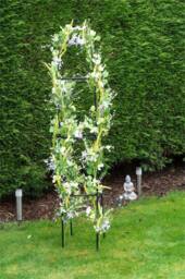 St Helens Standing Garden Obelisk 2M in Black - thumbnail 1