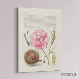 "Artery8 Damselfly Rose Chestnut Spider Calligraphy Canvas Wall Art Print in White - Size: W12"" x H16""" - thumbnail 2