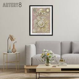 "Artery8 Jellyfish Discomedusae Vintage Haeckel Black Framed Canvas Wall Art in White - Size: W12"" x H16""" - thumbnail 3