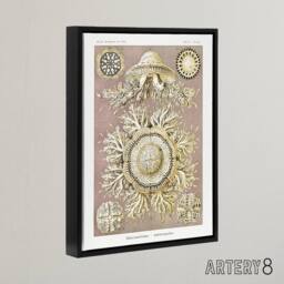 "Artery8 Jellyfish Discomedusae Vintage Haeckel Black Framed Canvas Wall Art in White - Size: W12"" x H16""" - thumbnail 2