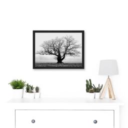 Artery8 Old Oak Tree Black White In Mist Fog Photo A4 Artwork Framed Wall Art Print - thumbnail 2