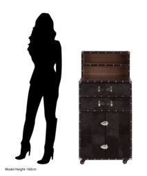 Orsina Exquisite Design Drinks Cabinet, Genuine Leather Drinks Storage Cabinet, Robust Iron Base Wooden Cabinet in Black - thumbnail 5