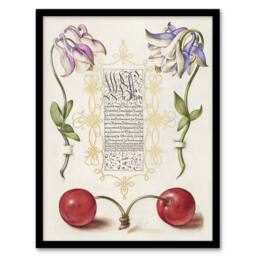 Artery8 Columbines & Sweet Cherries Calligraphy Framed Wall Art Print in White - Size: A4 - thumbnail 1
