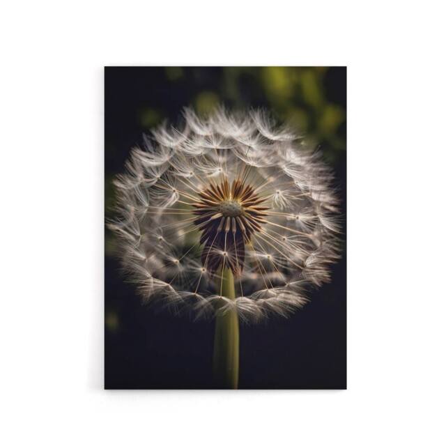 "Artery8 Dandelion Flower Pappus Macro Canvas Wall Art Print - Size: W18"" x H24""" - image 1