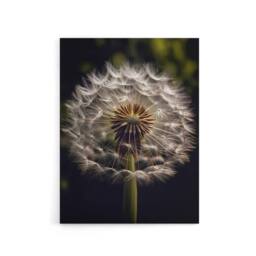 "Artery8 Dandelion Flower Pappus Macro Canvas Wall Art Print - Size: W18"" x H24""" - thumbnail 1