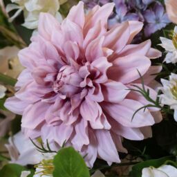 Hill Interiors The Natural Garden Collection Dahlia Artificial Flower in Pink - thumbnail 4