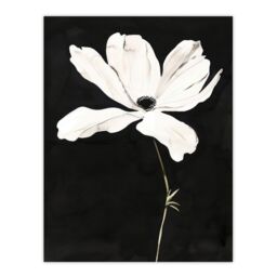 "Artery8 White Flower Bloom Black Background Watercolour Wall Art Print - Size: W18"" x H24""" - thumbnail 1