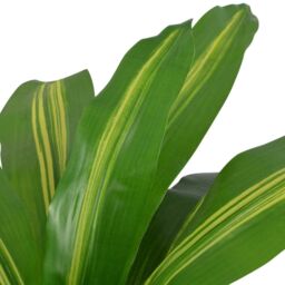 Berkfield Home Artificial Dracaena Plant with Pot 90 cm Green - thumbnail 2